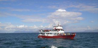 Whale Watching Iceland Humpback Boat Elding