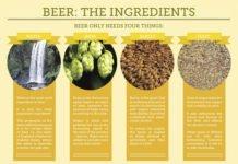 Beer Ingredients