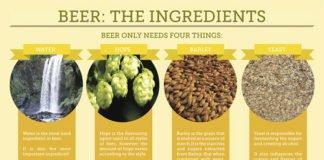 Beer Ingredients