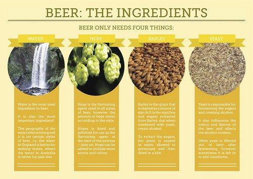 Beer Ingredients