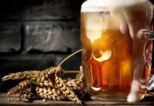 Origin of Beer and Its Ingredients