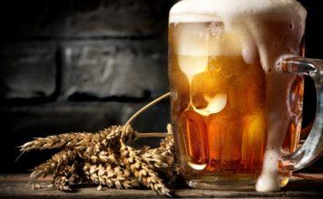Origin of Beer and Its Ingredients