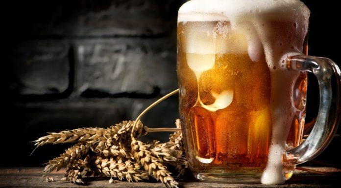 Origin of Beer and Its Ingredients