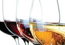 The Art Of Wine Tasting