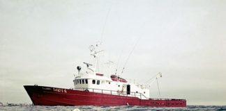 Elding Whale Watching In Iceland is 17 years old