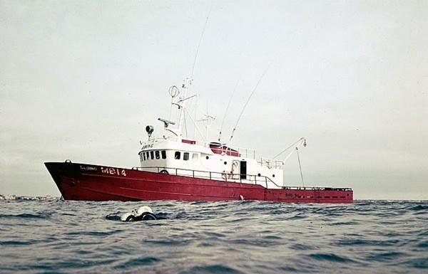 Elding Whale Watching In Iceland is 17 years old