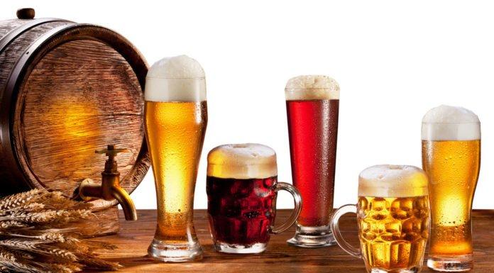 Lager Vs Ale