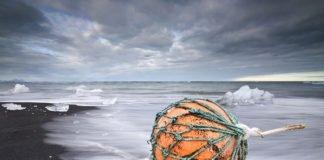 THE ICELANDIC PLEDGE