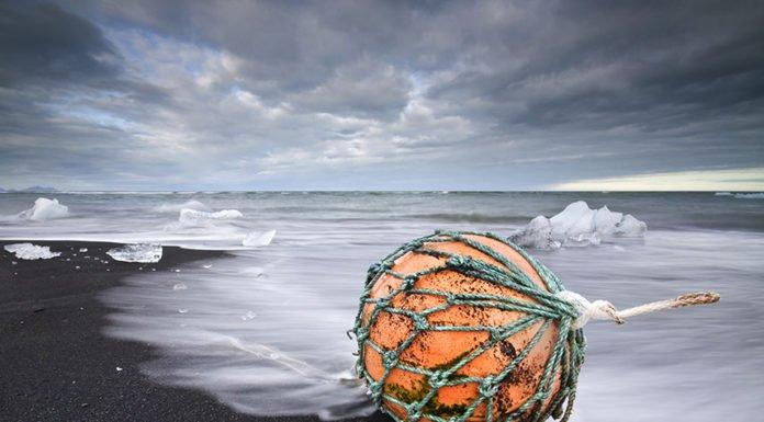 THE ICELANDIC PLEDGE