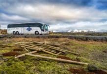 Merger of Iceland Travel and Gray Line abandoned