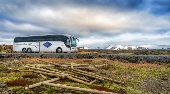 Merger of Iceland Travel and Gray Line abandoned