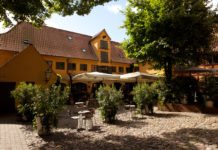 Discover Vejle – Denmark’s hottest centre for gastronomy, wellness and nature