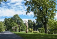 Botanical Garden Botanical Garden