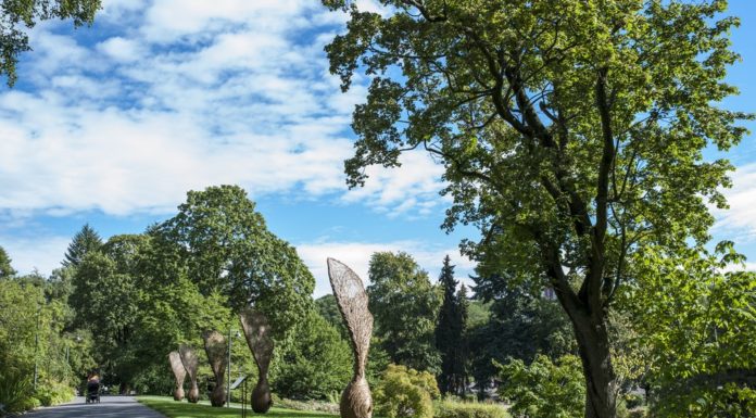 Botanical Garden Botanical Garden