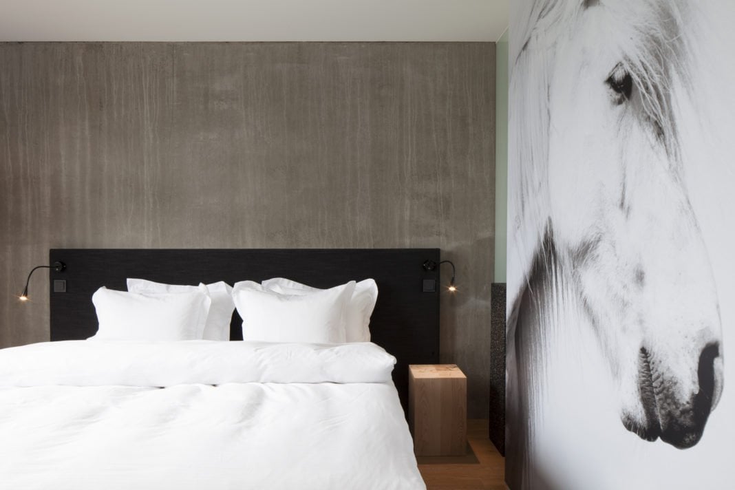 Iceland: 5% increase in overnight stays in May ION deluxe