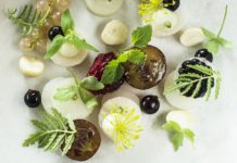 The Standard The Standard