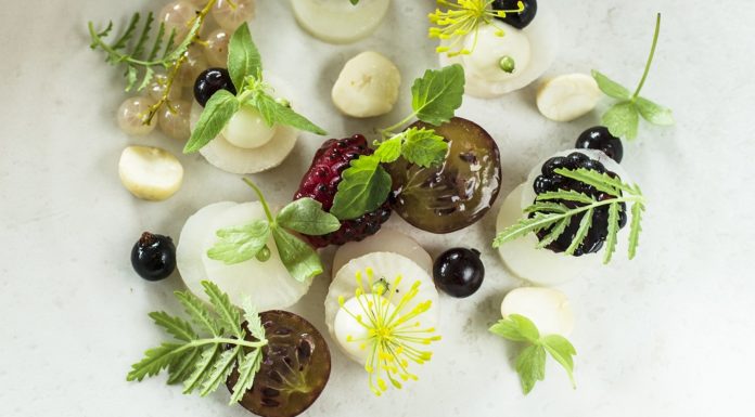 The Standard The Standard