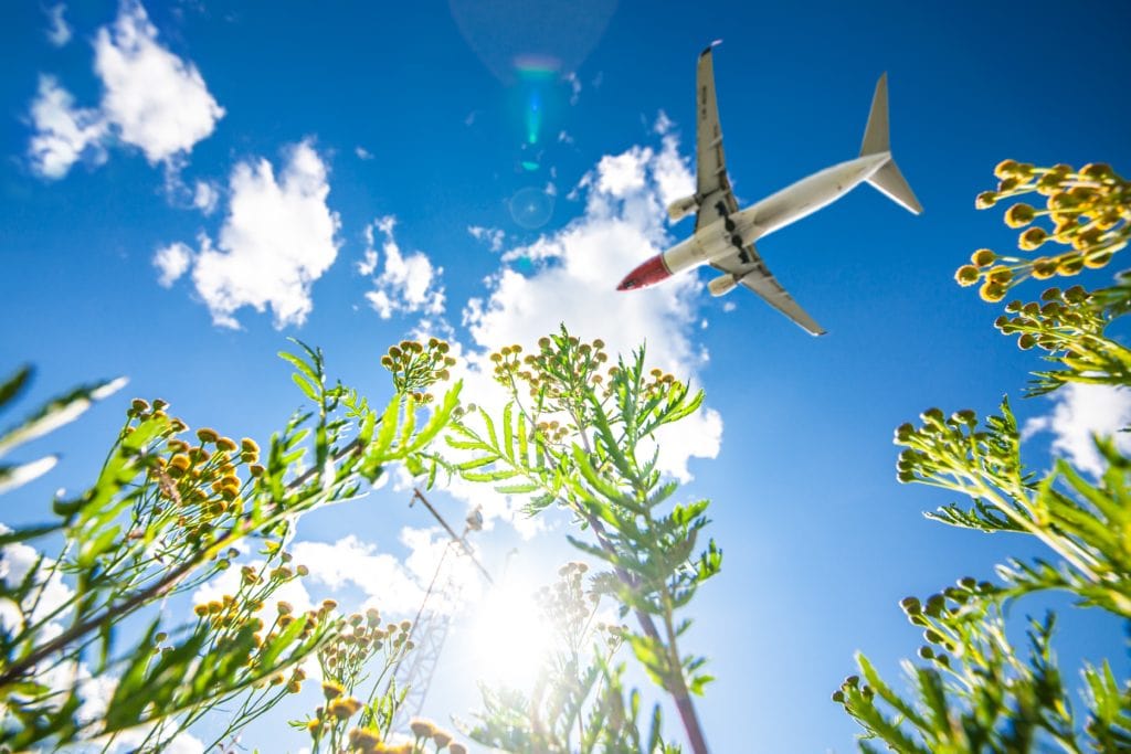 Norwegian Increases Florida Foothold; Adds Three New European Routes