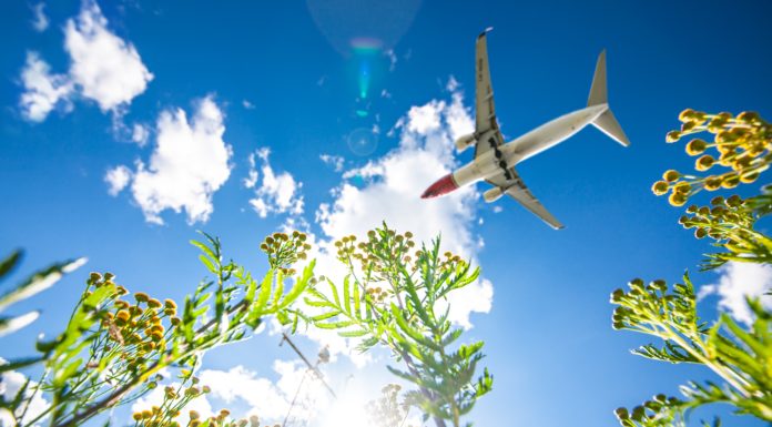 Norwegian Increases Florida Foothold; Adds Three New European Routes