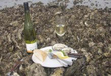 A taste of South Denmark – nature, history and food