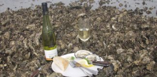 A taste of South Denmark – nature, history and food