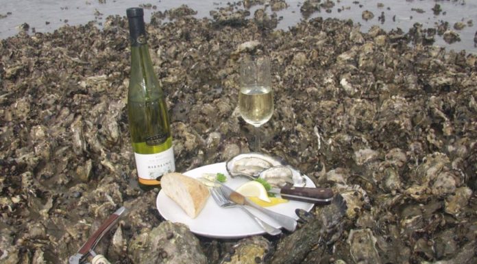 A taste of South Denmark – nature, history and food