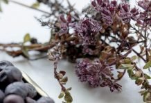 5 GREENLANDIC FOODS + 1 COCKTAIL TO TRY 5 GREENLANDIC FOODS + 1 COCKTAIL TO TRY