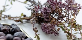 5 GREENLANDIC FOODS + 1 COCKTAIL TO TRY