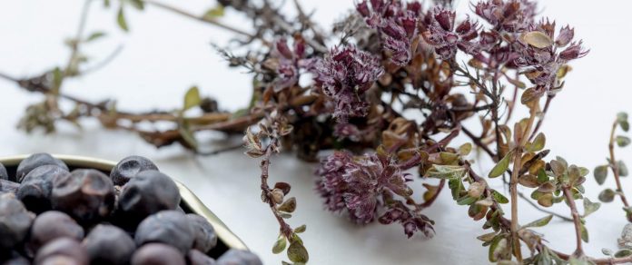 5 GREENLANDIC FOODS + 1 COCKTAIL TO TRY