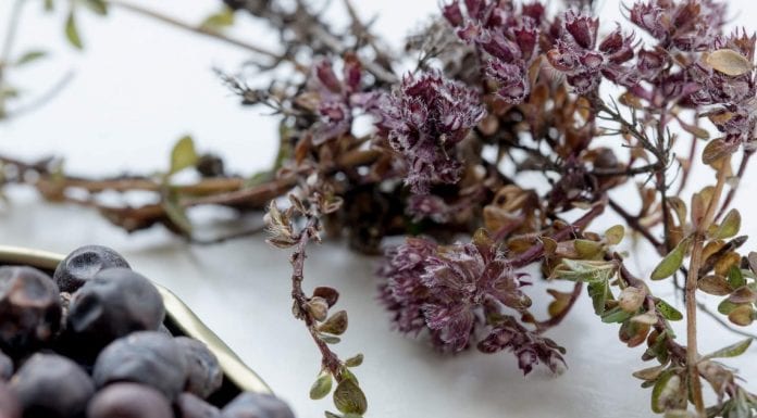 5 GREENLANDIC FOODS + 1 COCKTAIL TO TRY