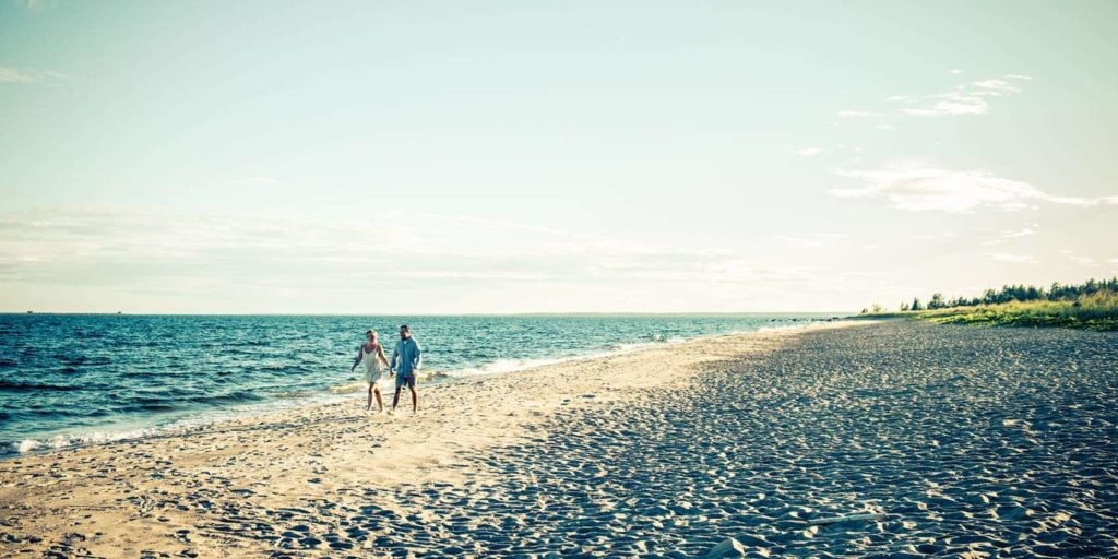 Beach Life in the Arctic. Swedish Lapland
