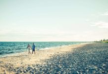 Beach Life in the Arctic. Swedish Lapland