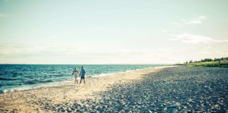 Beach Life in the Arctic. Swedish Lapland