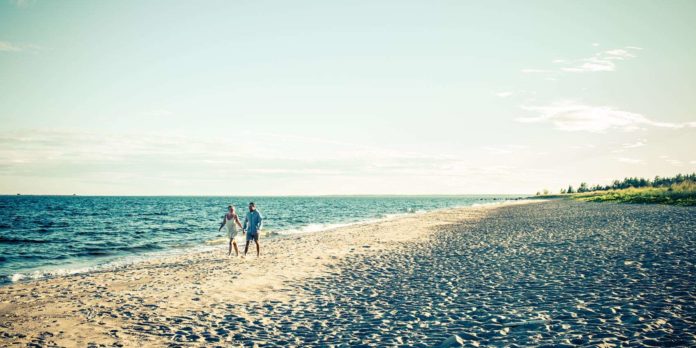 Beach Life in the Arctic. Swedish Lapland
