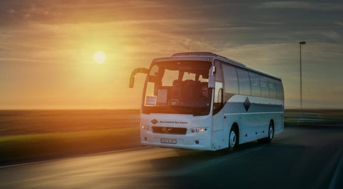Gray Line Iceland has bought all buses of Viking Tours Gray Line Iceland has bought all buses of Viking Tours