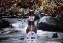 Icelandic Moments Beer