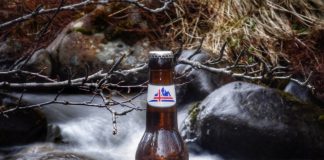 Icelandic Moments Beer