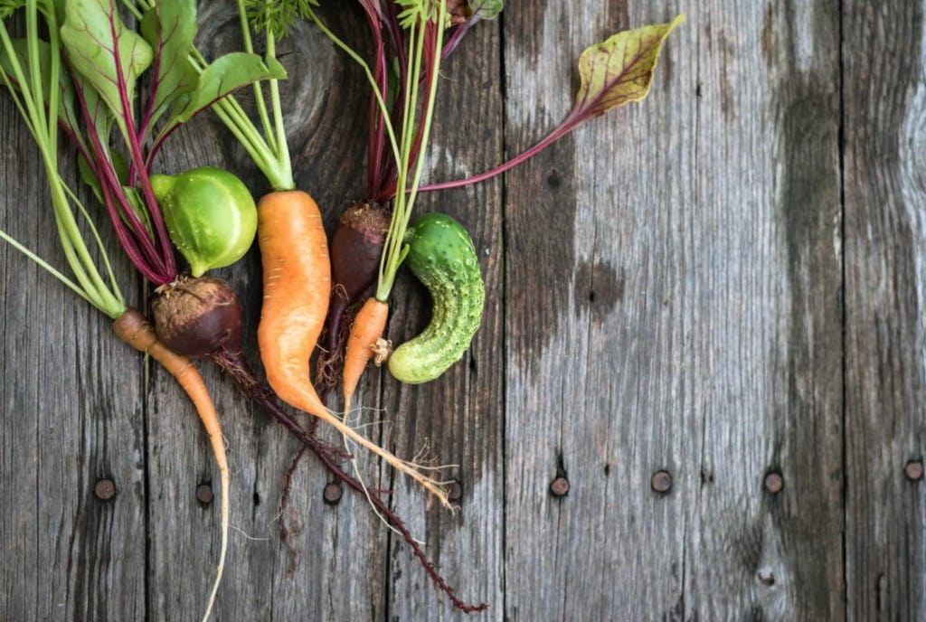 Nordic Choice Hotels strikes up the fight against food winnings