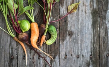 Nordic Choice Hotels strikes up the fight against food winnings