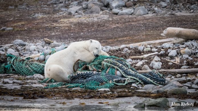 Arctic cruise with less plastic and more beach cleanups