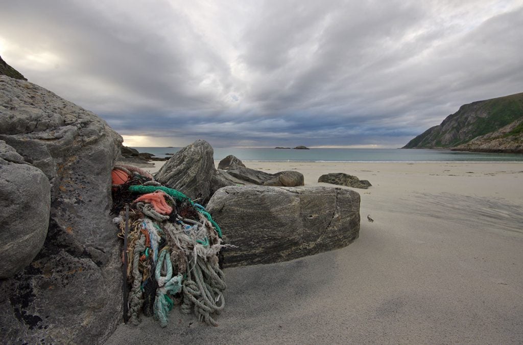 SHIP TO SHORE DONATES TO AECO’S CLEAN SEAS EFFORTS