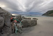 SHIP TO SHORE DONATES TO AECO’S CLEAN SEAS EFFORTS