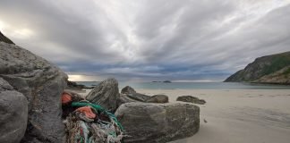 SHIP TO SHORE DONATES TO AECO’S CLEAN SEAS EFFORTS