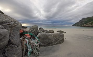 SHIP TO SHORE DONATES TO AECO’S CLEAN SEAS EFFORTS