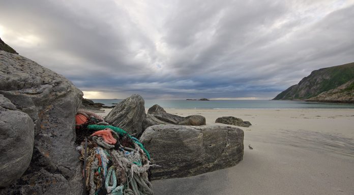 SHIP TO SHORE DONATES TO AECO’S CLEAN SEAS EFFORTS