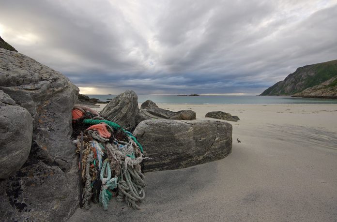 SHIP TO SHORE DONATES TO AECO’S CLEAN SEAS EFFORTS