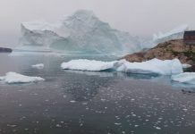 THE INNAARSUIT ICEBERG