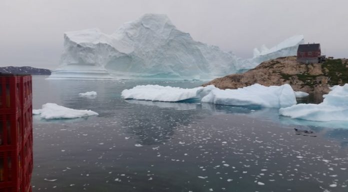 THE INNAARSUIT ICEBERG