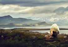 The Travels of a Solar Egg