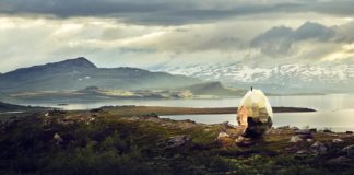 The Travels of a Solar Egg